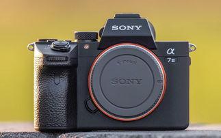 成人好看视频推荐相机