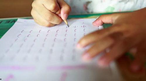 成人每天学写字好吗视频,提升成人书写技能与生活品质