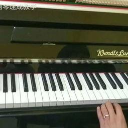 成人钢琴速成小强视频