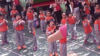 早操成人歌曲大全视频教学,活力晨练新体验